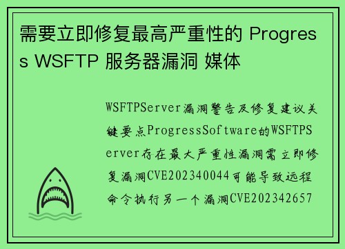 需要立即修复最高严重性的 Progress WSFTP 服务器漏洞 媒体