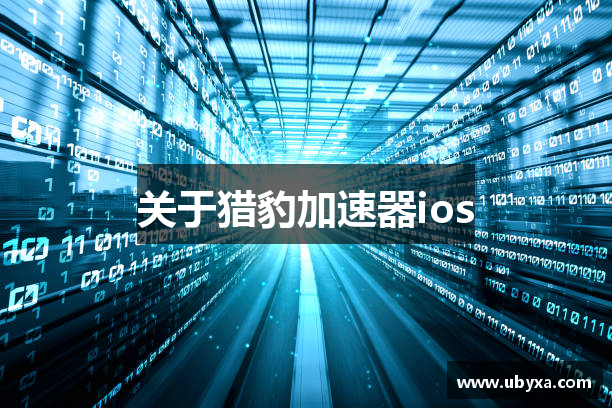 关于猎豹加速器ios