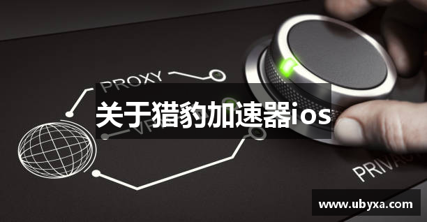 关于猎豹加速器ios